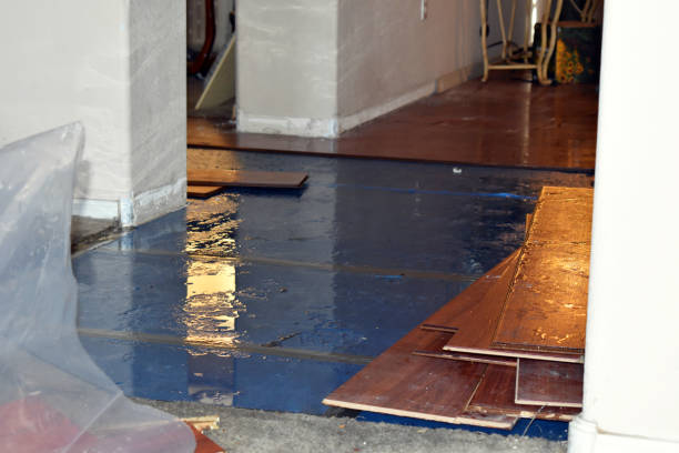 Professional Water Removal technician working in Bay Center, WA